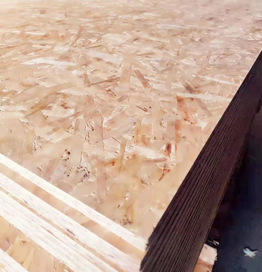 osb3_