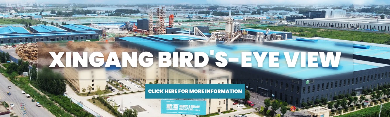 xingang Bird's-eye view xingang Bird's-eye view