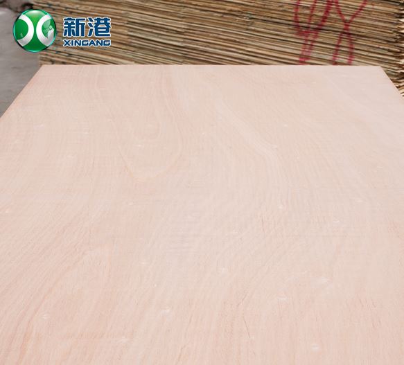 18mm Okoume Commercial Plywood