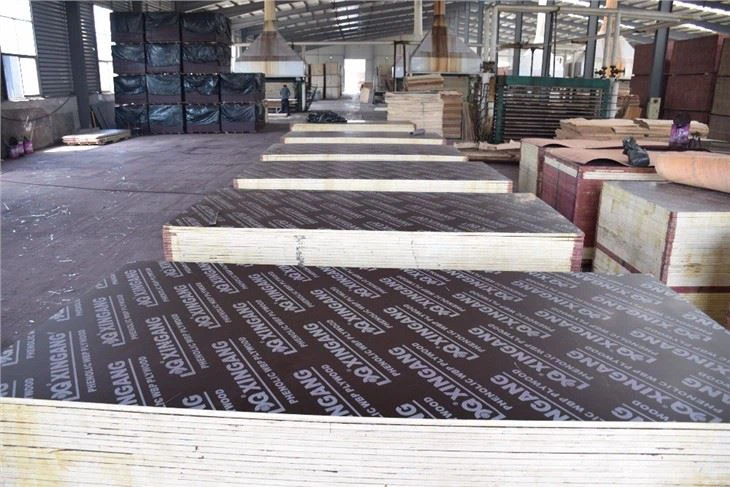Film Faced Plywood 1220x2440mm