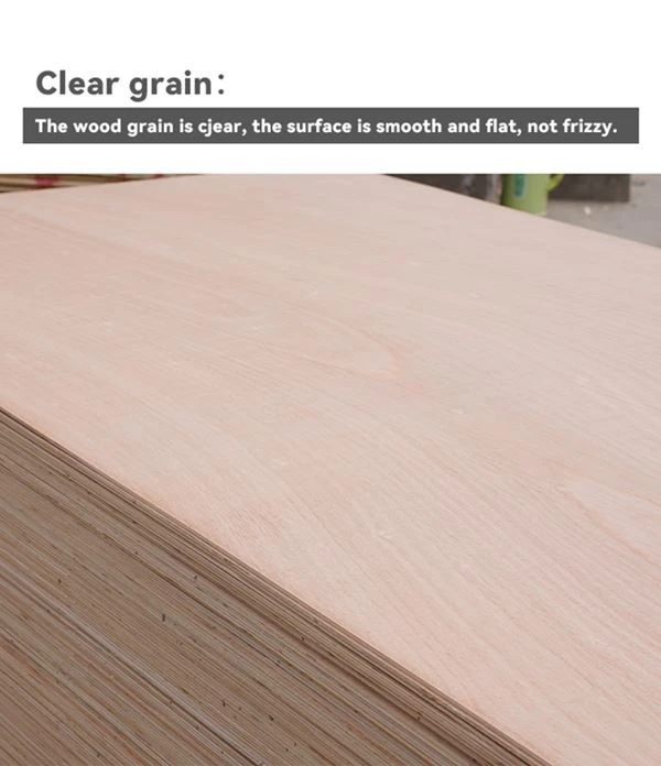 Okoume Commercial Plywood / XINGANG GROUP