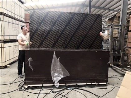 Parima kvaliteediga filmiga kaetud vineer