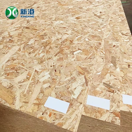 OSB 20241122
