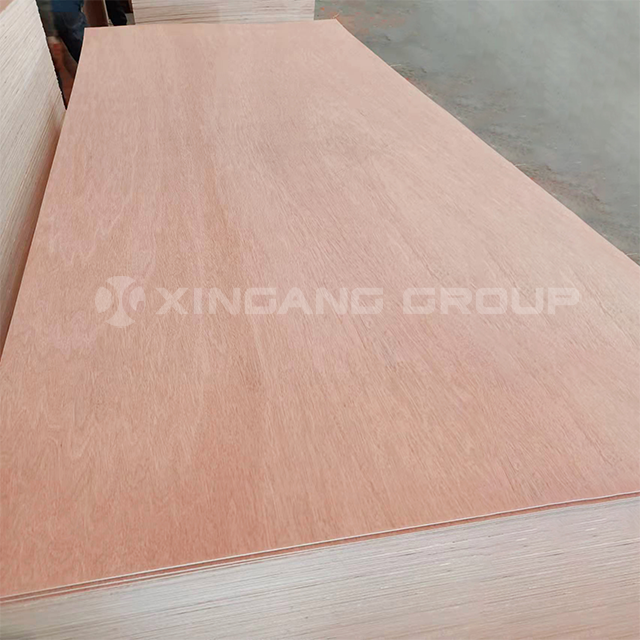 18mm Bintangor Core Plywood For Indoor Decoration Furniture Door Skin high quality