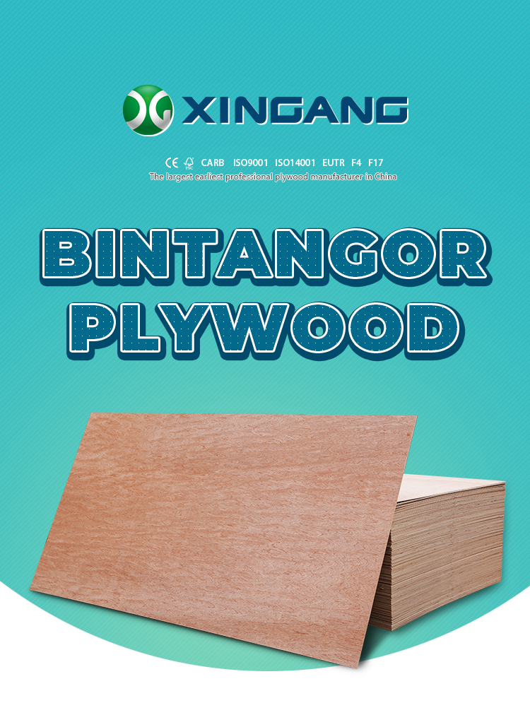 Bintangori näovineer