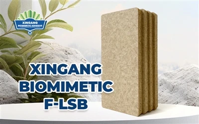 Xingangi biomimeetiline F-LSB