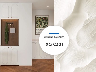 Color Appreciation I When The 2026 Pantone Color Of The Year - Cloud Dance White Meets XINGANG White